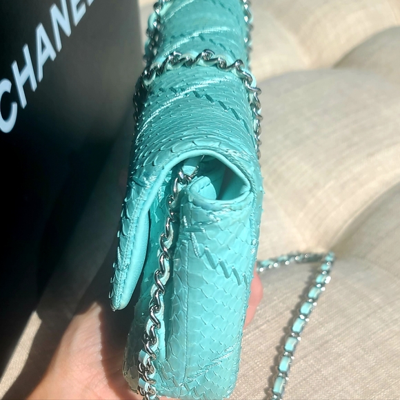 Chanel Python Classic Flap Bag - Picture 10 of 12